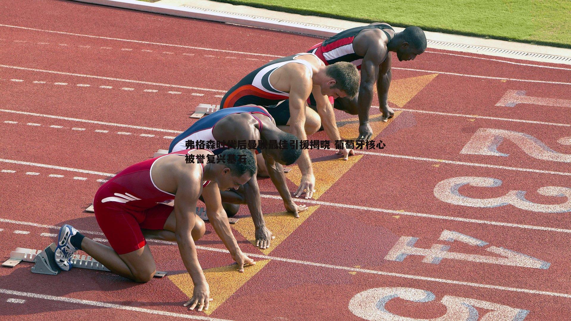 弗格森时代后曼联最佳引援揭晓 葡萄牙核心被誉复兴基石