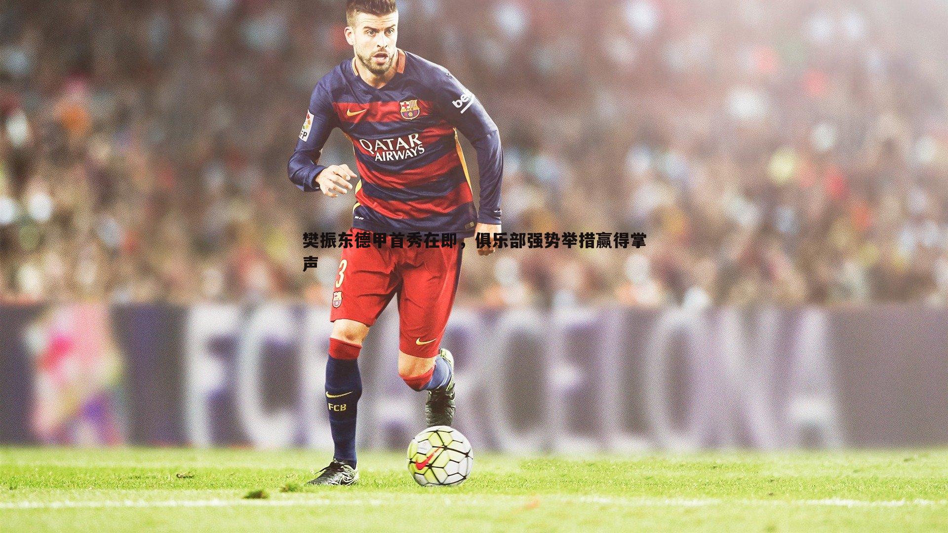 樊振东德甲首秀在即，俱乐部强势举措赢得掌声